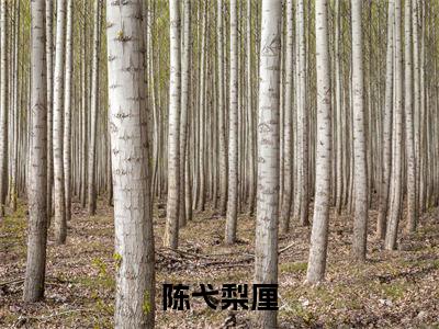 陈弋梨厘（梨厘陈弋）全文免费阅读无弹窗大结局_（陈弋梨厘免费阅读）梨厘陈弋无弹窗最新章节列表