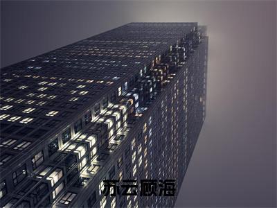 苏云顾海（顾海苏云）全文免费阅读无弹窗大结局_（顾海苏云）小说免费阅读最新章节列表