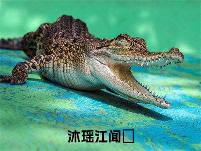 小说（沐瑶江闻璟）江闻璟沐瑶全文免费阅读无弹窗-江闻璟沐瑶小说全文在线赏析（今日更新最新章节）