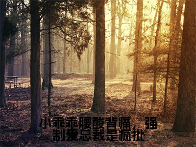 小乖乖腰酸背痛，强制爱总裁是疯批陆野孟霁小说全文免费阅读无弹窗大结局_（陆野孟霁）最新章节列表笔趣阁