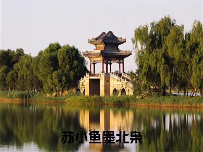 墨北枭苏小鱼（苏小鱼墨北枭）全文免费阅读无弹窗大结局_苏小鱼墨北枭最新章节列表（墨北枭苏小鱼）