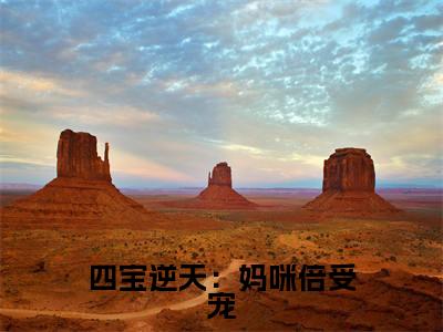 四宝逆天：妈咪倍受宠美文欣赏完整版，南婉战萧恒精彩章节在线阅读