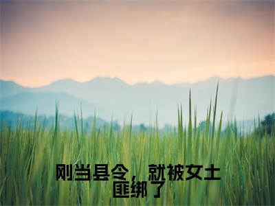 刚当县令，就被女土匪绑了（林枫）全文免费阅读无弹窗大结局_刚当县令，就被女土匪绑了全文免费阅读无弹窗最新章节列表