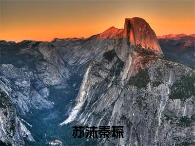 苏沫秦琛全文免费阅读大结局_苏沫秦琛（秦琛苏沫）最新章节列表