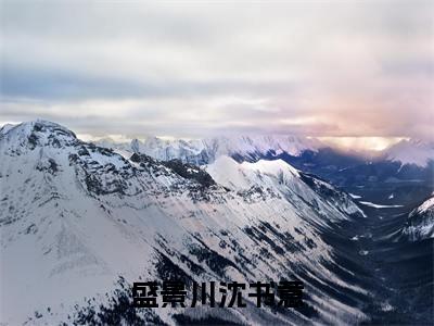 盛景川沈书意无广告免费阅读-小说沈书意盛景川最后结局如何