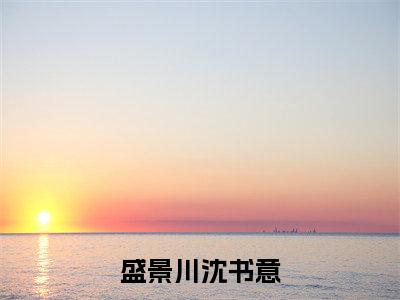 盛景川沈书意（沈书意盛景川）全文免费阅读无弹窗大结局_盛景川沈书意最新章节列表-笔趣阁沈书意盛景川