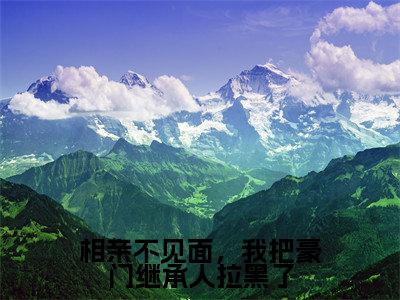 霍霆琛从容全文免费在线阅读_（相亲不见面，我把豪门继承人拉黑了全文免费阅读无弹窗大结局）