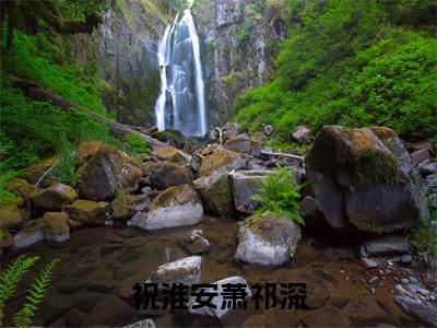 祝淮安萧祁深免费阅读-（祝淮安萧祁深）全文免费阅读无弹窗大结局（萧祁深祝淮安）最新章节列表_笔趣阁