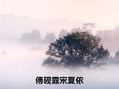 宋夏依傅砚霖（傅砚霖宋夏依）全文免费阅读无弹窗_（宋夏依傅砚霖全文免费阅读无弹窗）宋夏依傅砚霖最新章节列表