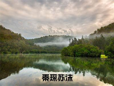 主角是秦琛苏沫的小说叫什么名字秦琛苏沫-老书虫书荒推荐热点小说秦琛苏沫（秦琛苏沫）
