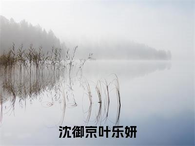 叶乐妍沈御京（沈御京叶乐妍）全文免费阅读无弹窗大结局_叶乐妍沈御京最新章节列表_笔趣阁（沈御京叶乐妍）