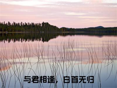 与君相逢，白首无归（云千雪重九）全文免费阅读无弹窗_（与君相逢，白首无归小说免费阅读）最新章节列表笔趣阁