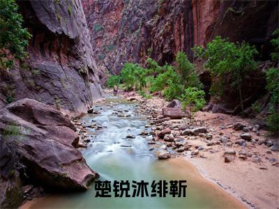 楚锐沐绯靳（沐绯靳楚锐）精选热门小说-小说（楚锐沐绯靳）沐绯靳楚锐全文免费阅读最新章节列表
