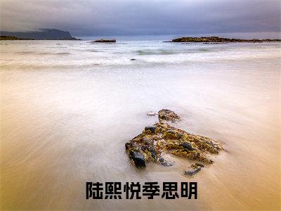 陆熙悦季思明（陆熙悦季思明）全文免费阅读无弹窗大结局_（陆熙悦季思明无弹窗）全文完整版免费阅读