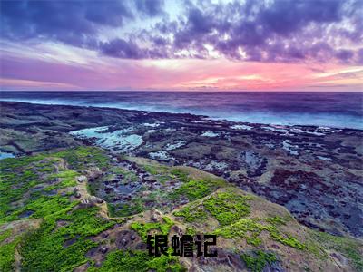银蟾记（蒋银蟾小说）全文免费阅读无弹窗大结局_蒋银蟾完整版小说阅读