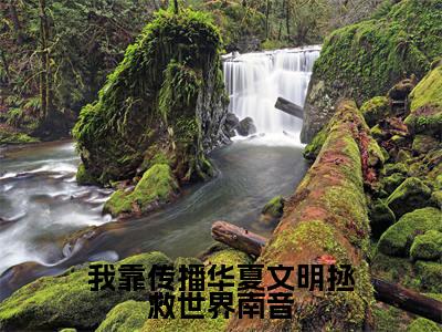 我靠传播华夏文明拯救世界南音小说最新章节阅读我靠传播华夏文明拯救世界南音南音全文免费阅读最新章节大结局