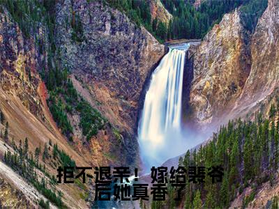 拒不退亲！嫁给裴爷后她真香了小说全文免费阅读（宋璃书裴之珩）免费阅读全文免费阅读无弹窗大结局