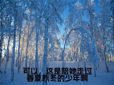 可以，这是陪她走过春夏秋冬的少年啊（傅俊年陆媛最新章节）在线阅读-免费小说可以，这是陪她走过春夏秋冬的少年啊全文阅读
