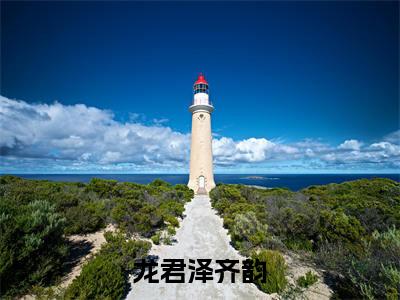 龙君泽齐韵（齐韵龙君泽）全文免费阅读无弹窗大结局_（齐韵龙君泽小说免费阅读）_笔趣阁