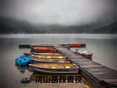 小说沈山菡段青夜完整版在线阅读沈山菡段青夜精选小说推荐试读