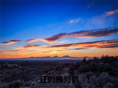 江灼林知鹤林知鹤江灼小说-江灼林知鹤小说全文免费阅读