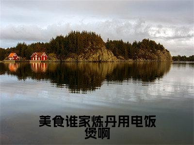 美食谁家炼丹用电饭煲啊（黄鹤祝帆）全文免费阅读大结局_美食谁家炼丹用电饭煲啊全文在线完本阅读