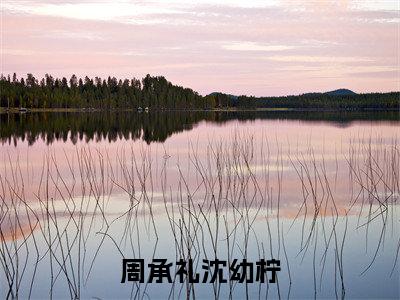 周承礼沈幼柠免费小说（沈幼柠周承礼）全本免费阅读-周承礼沈幼柠最新章节列表