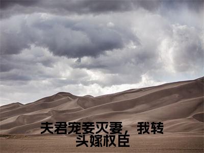 夫君宠妾灭妻，我转头嫁权臣小说在线阅读-主角叫沈琼芝孙鸿渐的小说（夫君宠妾灭妻，我转头嫁权臣）完整版免费阅读全文