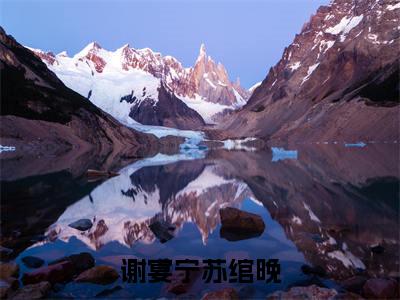 （苏绾晚谢宴宁小说完整版）谢宴宁苏绾晚全文免费阅读-（谢宴宁苏绾晚）苏绾晚谢宴宁小说最新章节列表