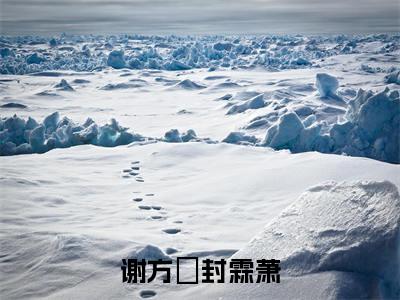 谢方妏封霖萧（谢方妏封霖萧）全文免费阅读无弹窗大结局_谢方妏封霖萧免费阅读最新章节列表_笔趣阁