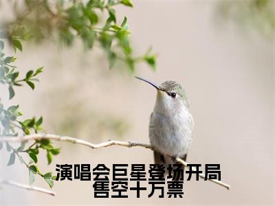 苏远王越小说（演唱会巨星登场开局售空十万票）无弹窗大结局-演唱会巨星登场开局售空十万票（苏远王越）完整版免费阅读
