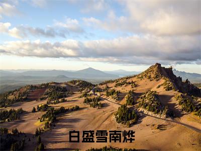 白盛雪南烨：白盛雪南烨全文免费阅读无弹窗大结局_（白盛雪南烨）白盛雪南烨最新章节列表笔趣阁