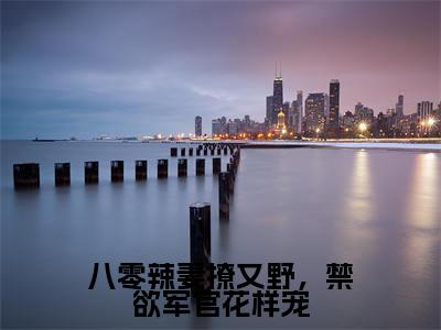 八零辣妻撩又野，禁欲军官花样宠（苏晚）全文免费阅读_苏晚（八零辣妻撩又野，禁欲军官花样宠）最新章节列表笔趣阁