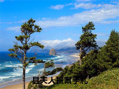 县夫人探案手札（蔺伯钦楚姮）全文免费阅读无弹窗大结局_（蔺伯钦楚姮）免费阅读无弹窗最新章节列表