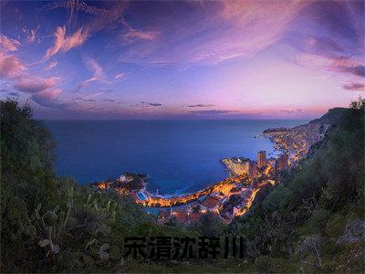 沈辞川宋清（宋清沈辞川）免费小说-宋清沈辞川全文在线阅读