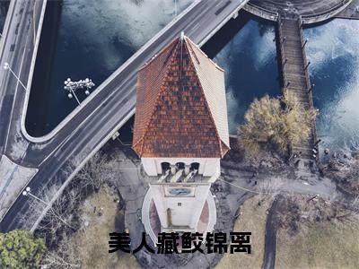 美人藏鲛锦离（庚渊锦离）全文免费完结版阅读_（庚渊锦离）美人藏鲛锦离最新章节列表笔趣阁