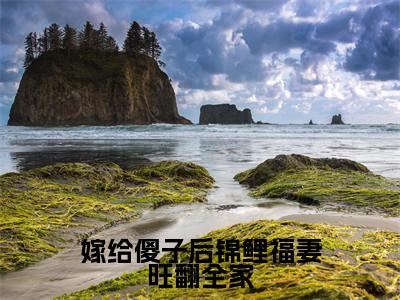 嫁给傻子后锦鲤福妻旺翻全家（崔雨露）热门小说盘点在线阅读-全网推荐小说崔雨露全文