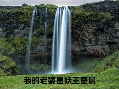 楚晨（我的老婆是妖王楚晨小说全文）在线阅读-楚晨全文免费阅读大结局