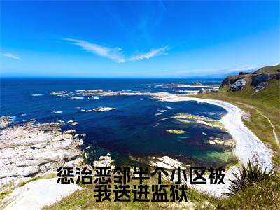 惩治恶邻半个小区被我送进监狱（黎清琳）全本完整版免费阅读_（惩治恶邻半个小区被我送进监狱）黎清琳全文章节目录_笔趣阁