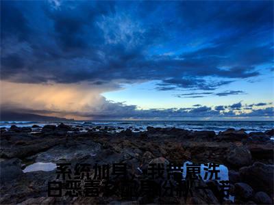 《系统加身，我带崽洗白恶毒女配身份秋一诺》秋一诺邵承远在哪免费看-系统加身，我带崽洗白恶毒女配身份秋一诺（秋一诺邵承远）已完结全集大结局