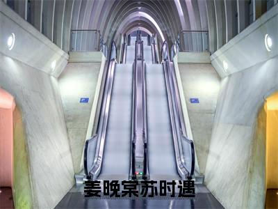 姜晚棠苏时遇是什么小说-（苏时遇姜晚棠）姜晚棠苏时遇无弹窗免费阅读大结局最新章节列表_笔趣阁