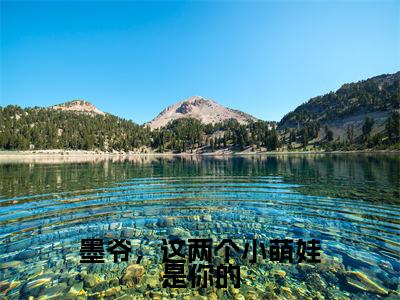 夜墨白芊芊小说在线阅读全文无弹窗大结局_墨爷，这两个小萌娃是你的小说免费最新章节列表