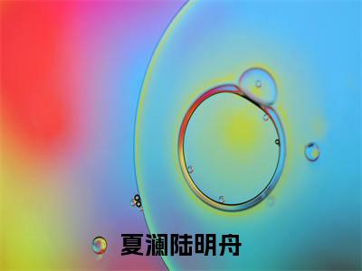 【全文】《夏澜陆明舟》小说txt在线阅读_（夏澜陆明舟全章节）-夏澜陆明舟_夏澜陆明舟在线阅读