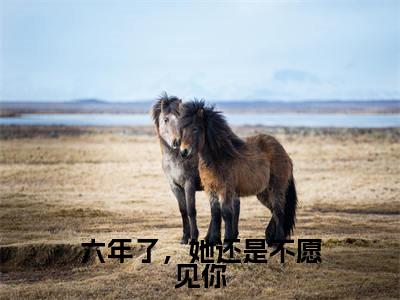六年了，她还是不愿见你全文免费阅读无弹窗大结局，谢靖承池念小说最新章节