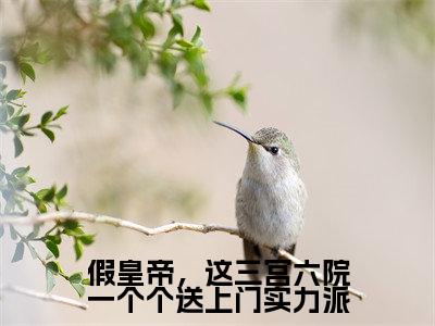 假皇帝，这三宫六院一个个送上门实力派（李长寿淑妃）小说全文小说免费阅读_假皇帝，这三宫六院一个个送上门实力派最新章节列表笔趣阁（李长寿淑妃）
