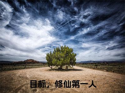 目标，修仙第一人小说（宁昭）全文免费阅读无弹窗大结局_（目标，修仙第一人）宁昭小说免费阅读最新章节列表
