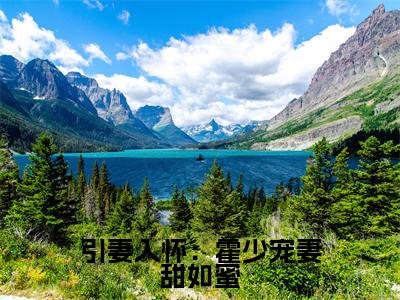 引妻入怀：霍少宠妻甜如蜜小说（霍怀琛夏栀）全文免费阅读无弹窗_引妻入怀：霍少宠妻甜如蜜小说全文免费阅读）霍怀琛夏栀最新章节列表笔趣阁