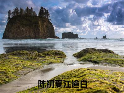 陈初夏江逾白全集小说（陈初夏江逾白）全文免费阅读无弹窗大结局_陈初夏江逾白最新章节列表_笔趣阁（陈初夏江逾白）