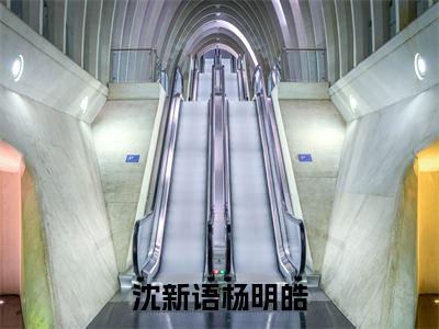 小说（沈新语杨明皓）_杨明皓沈新语全文阅读_沈新语杨明皓免费阅读大结局（免费+后续）