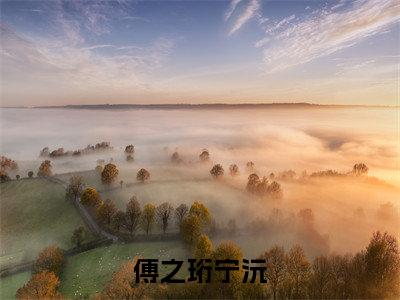 傅之珩宁沅小说全文免费阅读无弹窗大结局_傅之珩宁沅宁沅傅之珩最新章节列表_笔趣阁（傅之珩宁沅）